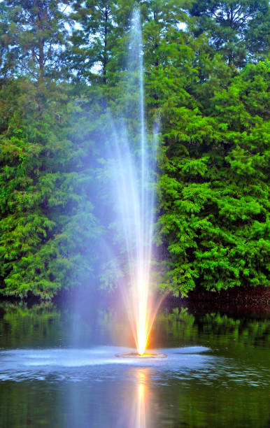 istock Water fountain in a lake 835973718