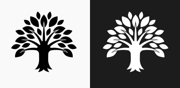 ilustrações, clipart, desenhos animados e ícones de ícone de árvore em preto e branco vector backgrounds - nature black and white leaf black background