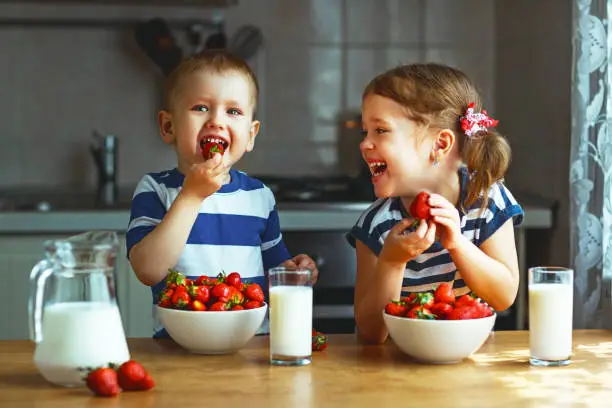 Photo of Happy children brother and sister eating strawberries with milk