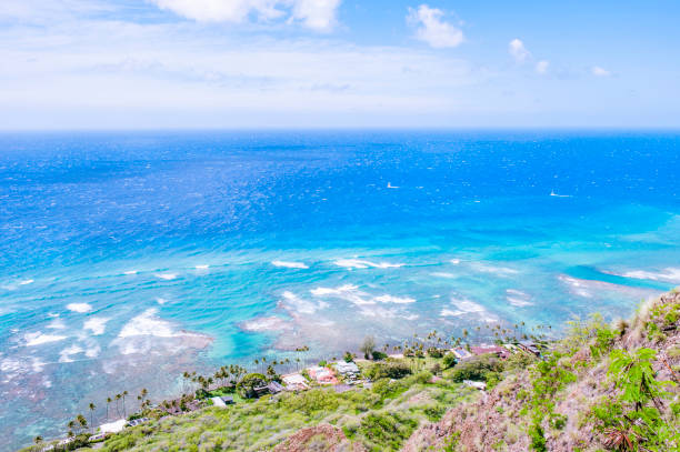 istock The seascape from Diamond Head Crater 835994684