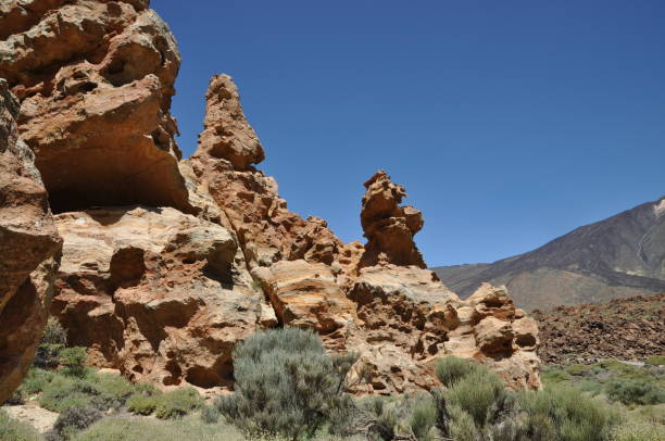 istock Piedras Amarillas, Tenerife 835998742
