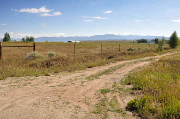 istock dirt road by a prairie in Colorado 836002014