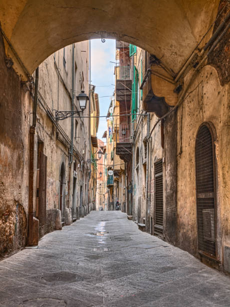 istock Pisa, Tuscany, Italy: narrow alley in the old town 836006000