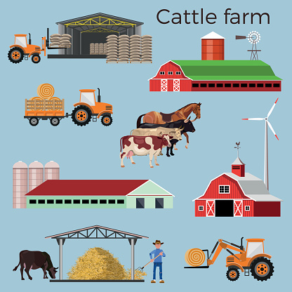 Set of vector illustrations for cattle farm