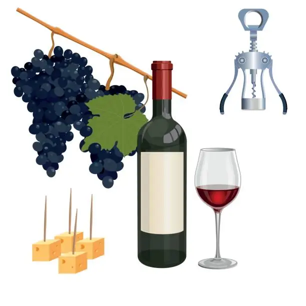 Vector illustration of Still life with red wine