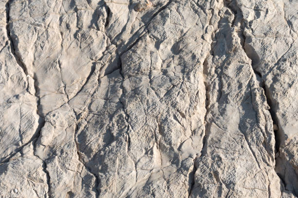 istock Carbonate rocks - weather and salt eroded 836015934