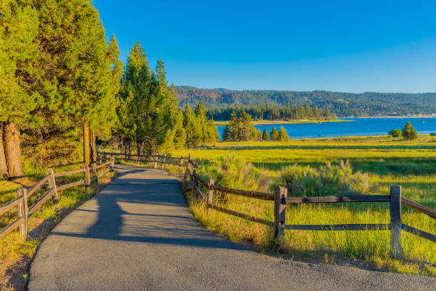 istock Juniper tree forest at Big Bear Lake San Bernardino County, Ca 836020112