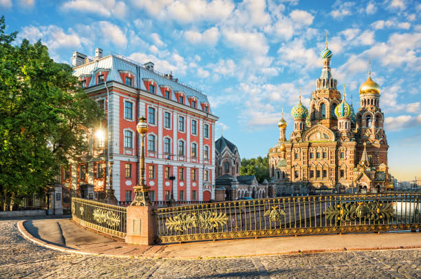 istock The warm light of a summer morning 836024174