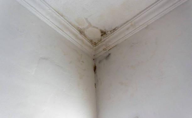 istock Rain water infiltration and leak inside a home building roof white wall 836037820