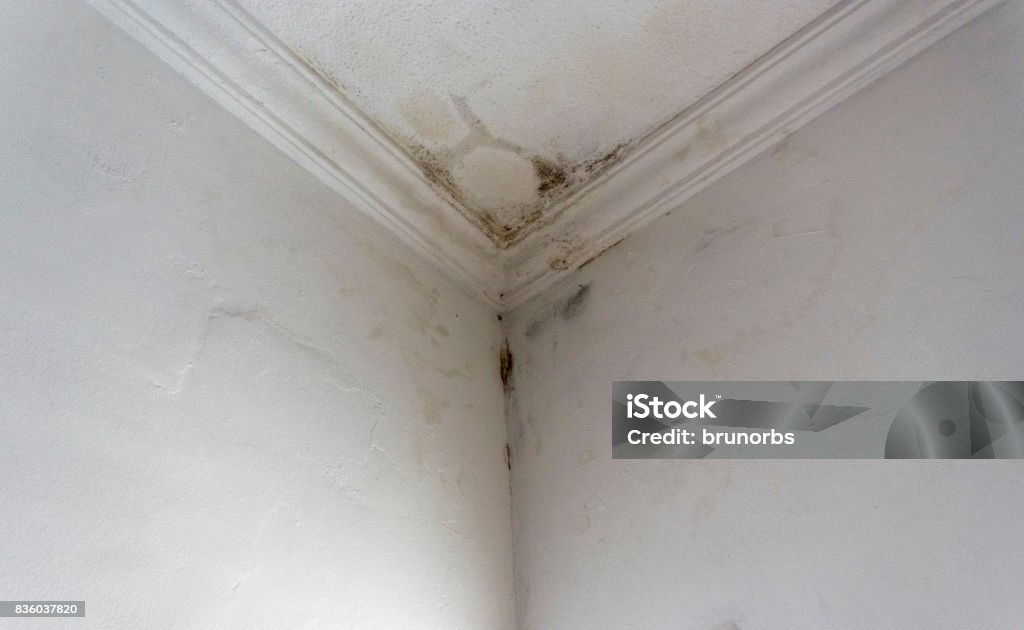 Rain water infiltration and leak inside a home building roof white wall Water leak, home problems Leaking Stock Photo