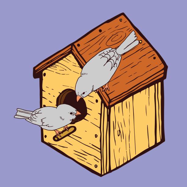 Bird House vector art illustration