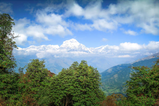 istock High mountains in the Himalaya, Pokhara, Nepal 836051302