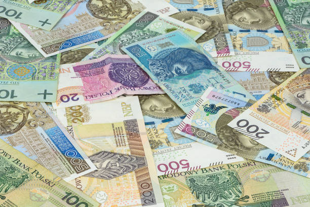 istock Background made of different polish zloty banknotes 836055808