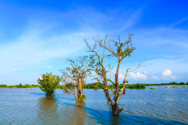 istock Flooding agricultural area. 836055862