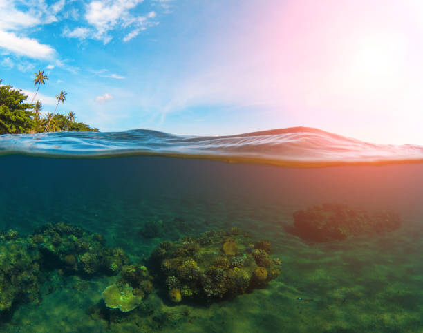 двойной пейзаж с морем и небом. сплит фото с тропическим островом и подводным коралловым рифом. - coral water sunset usa стоковые фото и изображения