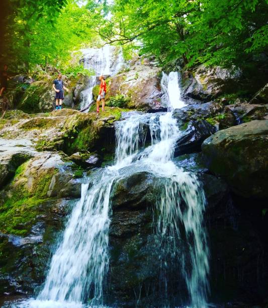 istock Dark Hollow Falls, Shenandoah National Park. 836062518