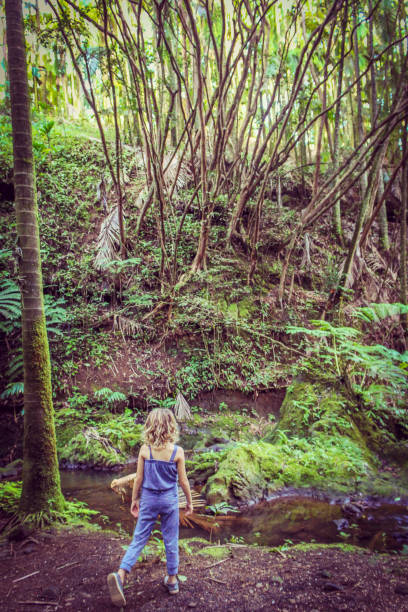 istock Little girl and nature 836062520