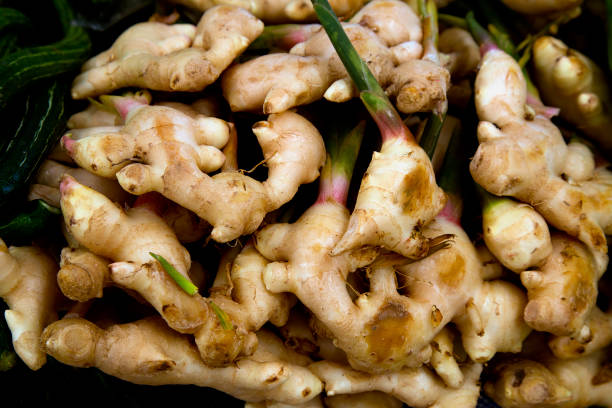 ginger . Healthy food vegetable series stock photo