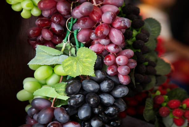 istock Plastic Fruit, Red wine grapes background/ dark grapes, blue grapes , Red Grape, Cardinal Grape , Emperor Grape 836065246