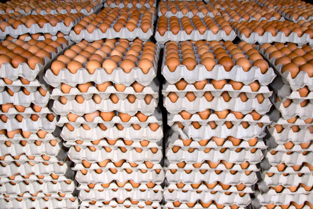 Eggs from chicken farm in the package stock photo