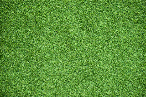 istock green grass background texture for activity golf soccer sport grounds or grassland design 836074336