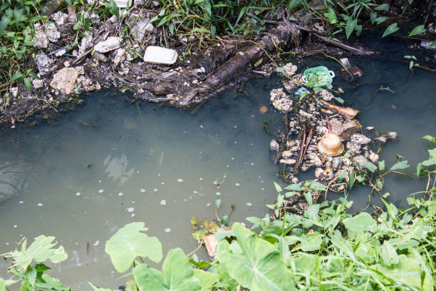istock Junk in the water. Water pollution 836087848