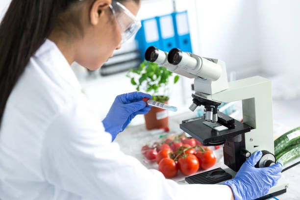 Female microbiologist using microscope in laboratoty Female microbiologist using microscope in laboratoty , examinating vegetables. biochemistry stock pictures, royalty-free photos & images