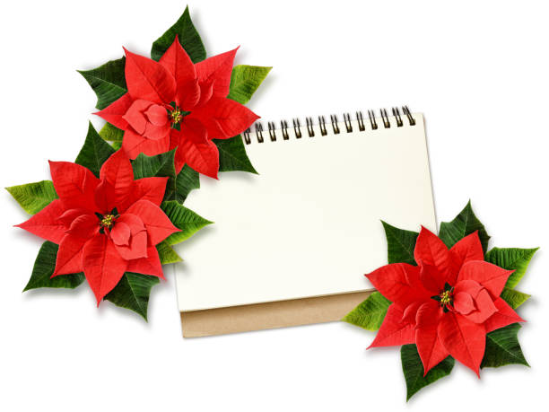 istock Christmas poinsettia flowers and note 836090770