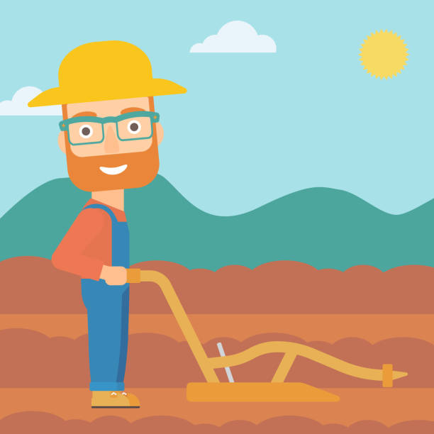 Farmer on the field with plough A hipster man with the beard using a plough on the background of plowed agricultural field vector flat design illustration. Square layout. geochelone yniphora stock illustrations