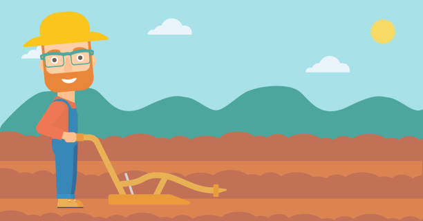 Farmer on the field with plough A hipster man with the beard using a plough on the background of plowed agricultural field vector flat design illustration. Horizontal layout. geochelone yniphora stock illustrations