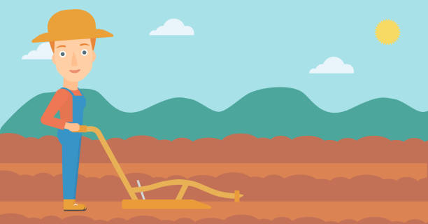 Farmer on the field with plough A woman using a plough on the background of plowed agricultural field vector flat design illustration. Horizontal layout. geochelone yniphora stock illustrations