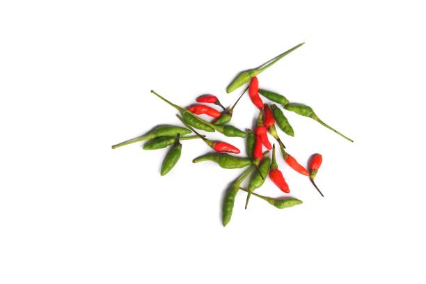 hot chili  savory  paprika fresh on a white background