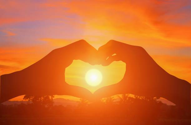 istock Silhouette hand forming  a heart shape with  sunset  light and copy space for add text 836094716