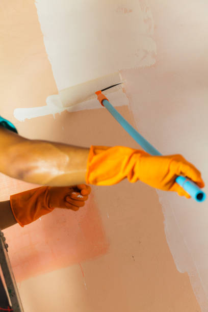istock Painter painting the walls 836101320