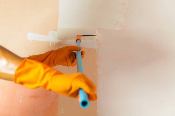 istock Painter painting the walls 836101322