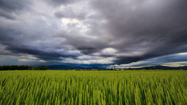 istock Evening storm over the medieval village 836105938