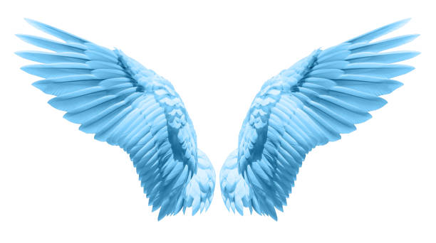 Guardian Angel white wings over dramatic grey with light. Religion and spiritual concept