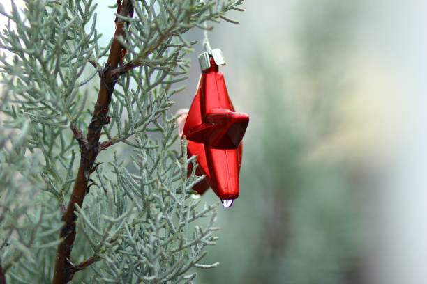 istock Christmas heart in the branch 836119804