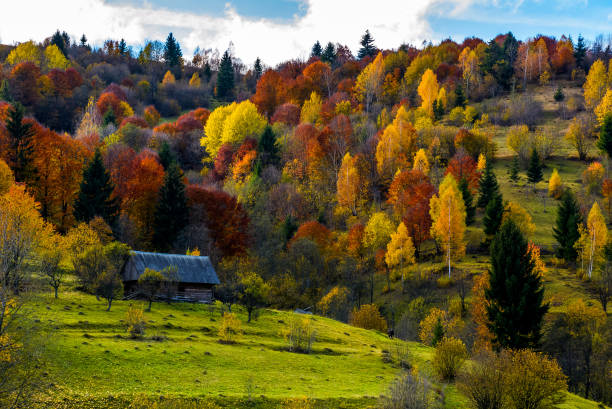maison abandonnée dans la forêt d’automne sur la colline - house rural scene field residential structure photos et images de collection