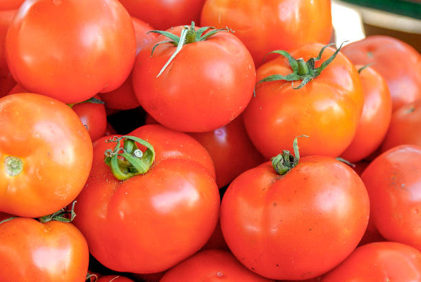 Red organic tomatoes