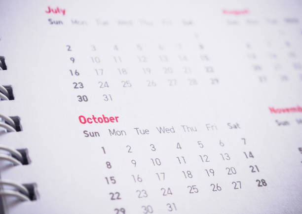 istock Months and dates on calendar new year 2017 836131918