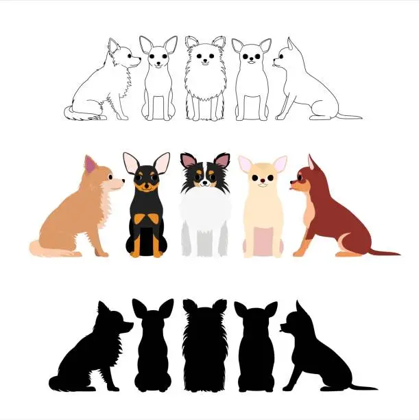 Vector illustration of set of Chihuahua group