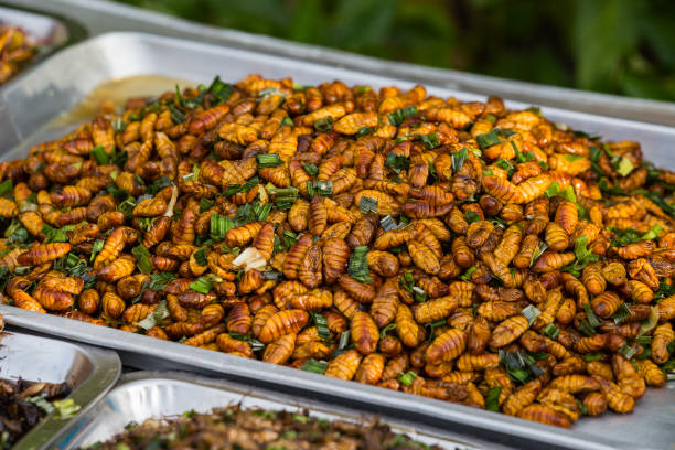 istock Fried silkworm in market, Thailand. Close up 836132852