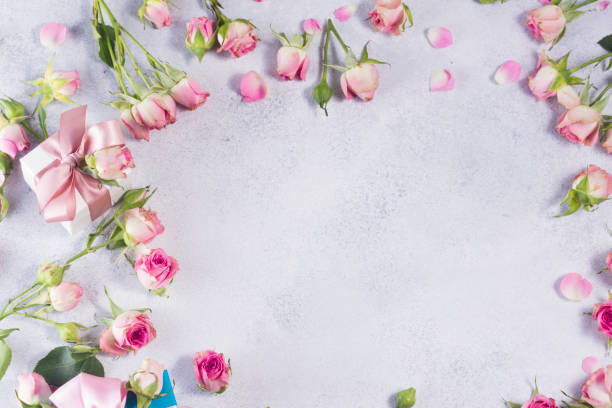 istock Pink and white rose flowers 836135268