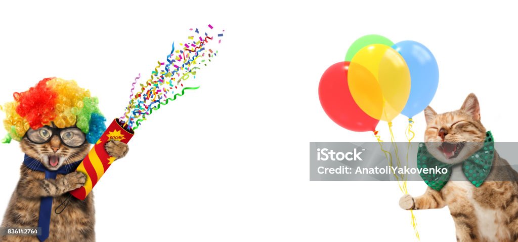 Funny cats are wearing clown's costume and holding balloons and petard. White label for text. Congratulating Stock Photo