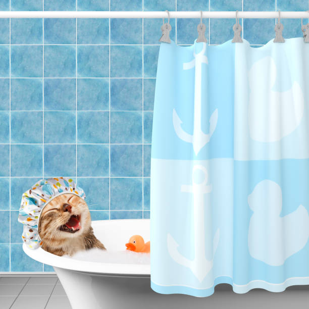 istock Funny cat is taking a bath with toy duck. 836142776