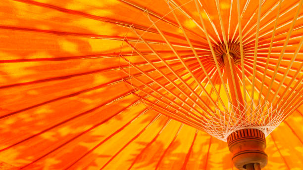 istock Underside of red fabric umbrella with bamboo frame and the shadow of leaf. 836147296