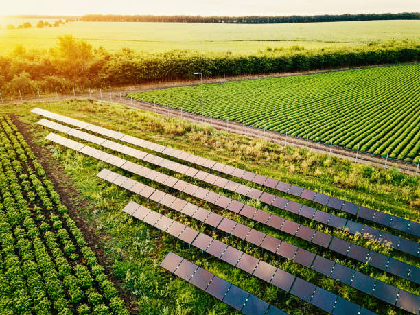 alimentation solaire pour la ferme - crop farm nature man made photos et images de collection