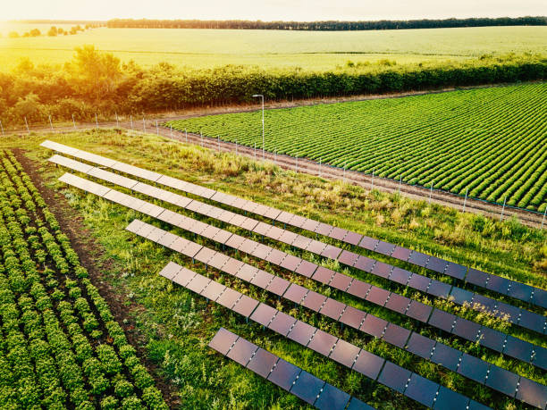 zasilanie słoneczne dla gospodarstwa - crop farm nature man made zdjęcia i obrazy z banku zdjęć