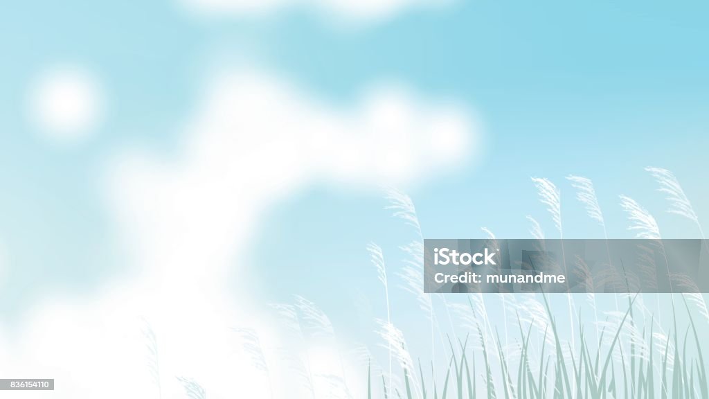 Grass field with white flower and bright blue sky landscape Purity stock vector